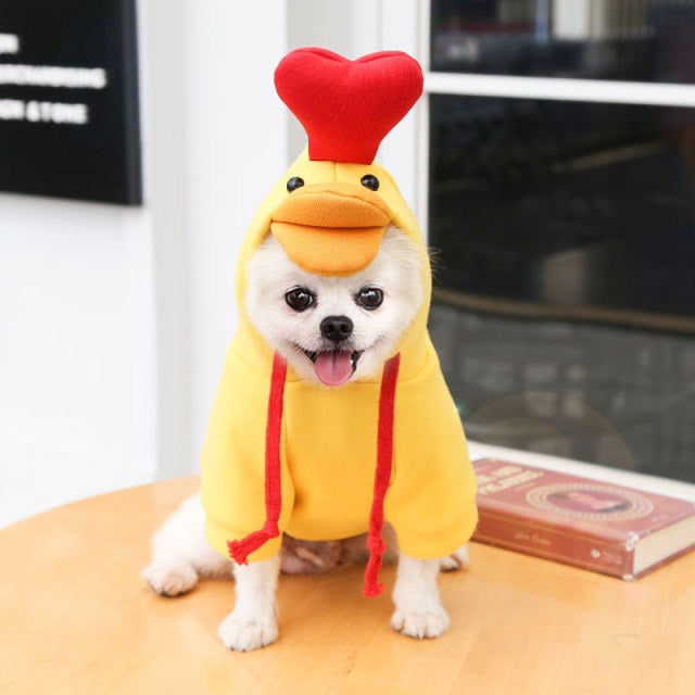 Dog In Drip 2023 Trendy Pet Costume