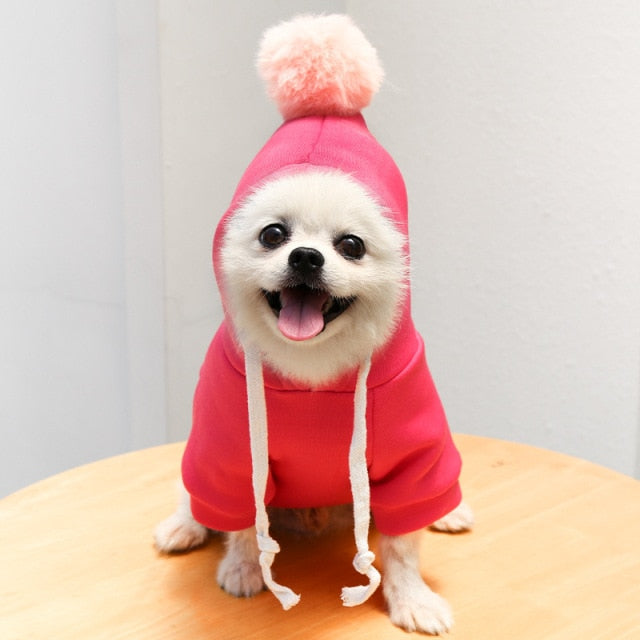 Dog In Drip 2023 Trendy Pet Costume